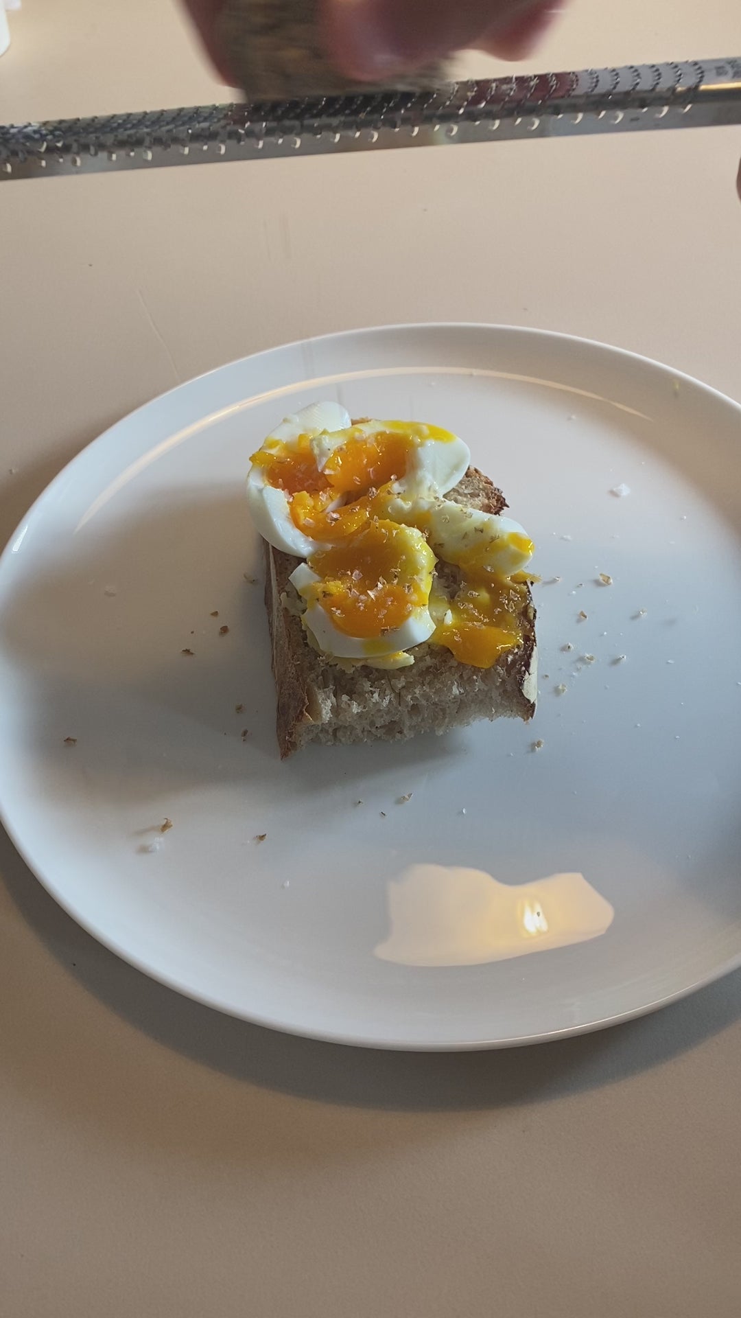 PREORDER Sellerie im Salzteig